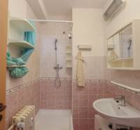 Bathroom in a 2-room apartment with pink tiles, a sink, and a shower corner.