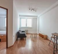 Interior of a 2-room apartment with a couch, table, and floor with wood decor.