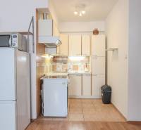 Kitchen unit with a refrigerator and microwave in a 2-room apartment, floor with wooden decor.