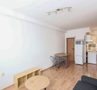 Bright 2-room apartment with wood-decor flooring, kitchen, and dining table.