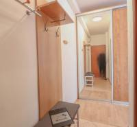 A hallway in a 2-room apartment with a wooden-patterned floor and a built-in wardrobe.