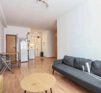 Living room in a 2-room apartment with a wooden decor floor and a gray sofa.