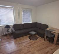 Living room in a studio apartment with wood-patterned flooring, a sofa, and a dining table.
