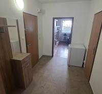 Entrance hall and corridor in a one-room apartment with a wood-patterned floor.