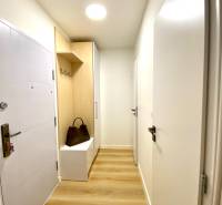 A hallway with a wooden decor floor, a cabinet, and a coat rack in a two-room apartment.