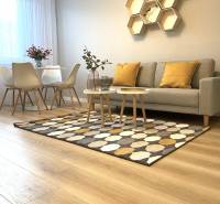 2-room apartment with wood-patterned flooring, a sofa, a dining table, and geometric shelves.