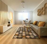 Living room in a two-room apartment with a wooden-patterned floor and a patterned carpet.