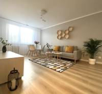 Living room in a two-room apartment with a sofa, carpet, and wooden decor flooring.