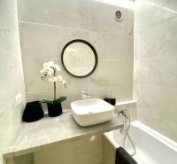 Bathroom with a countertop sink, bathtub, and decoration, 2-room apartment.