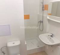 Compact bathroom with a shower, sink, and toilet in a studio apartment.