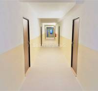 A corridor with multiple doors and a light floor in a studio apartment.