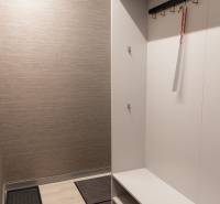 Entrance hallway with light-colored walls, wood-patterned flooring, cabinets, storage spaces.