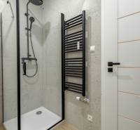Shower enclosure with a black shower set and a heating ladder in a 3-room apartment.