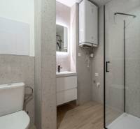 A bathroom in a 3-room apartment with a wooden decor floor and a shower corner.