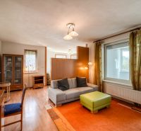 Living room with a sofa, colorful carpet, and wooden decor flooring in a three-room apartment.