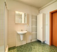 A bathroom in a 3-room apartment with a sink, shower, and radiator.