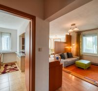 Living room with wooden decor flooring and a view, 3-room apartment.