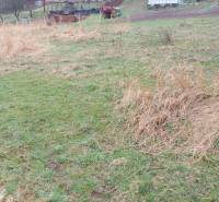 Recreational plots in Púchov with grassy areas and dry vegetation.