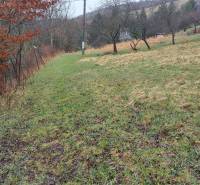 Natural scenery with grassy land and trees on recreational plots in Púchov.