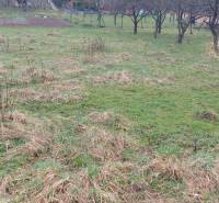 Greenery and trees on recreational lands in Púchov during autumn.
