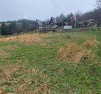 Extensive recreational plots in Púchov with cottages and greenery lined with trees.