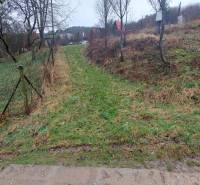 Greenery and trees on recreational lands in Púchov, ideal for hiking and relaxation.