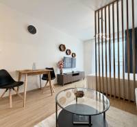 A one-bedroom apartment with a wood-patterned floor, a partition wall, and a television.