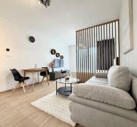 Stylish 1-room apartment with wood-patterned flooring, a sofa, and a dining area.