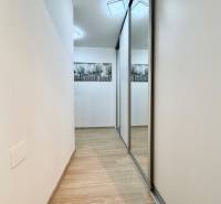 A hallway with a wooden decor floor and a built-in wardrobe in a studio apartment.