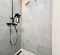 A shower enclosure with black fittings in a studio apartment.