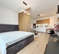 1-bedroom apartment with a kitchenette, bed, and wooden decor flooring.