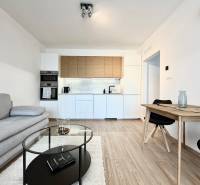 1-bedroom apartment with wood-patterned flooring, a kitchen unit, and a gray sofa.