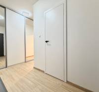 Entrance hall of a one-room apartment with wood-patterned flooring and a built-in wardrobe.
