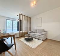 Living room with a sofa and a dining table, wooden decor flooring, studio apartment.