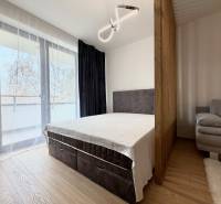 Bedroom in a studio apartment with a bed, sofa, and wood-patterned flooring.