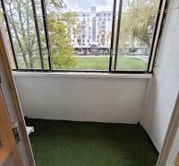 A glazed loggia with greenery in a 4-room apartment overlooking Wolkrova Street in Petržalka.