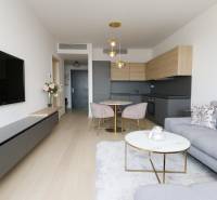 2-room apartment with wood-patterned flooring, gray sofa, and minimalist kitchen.