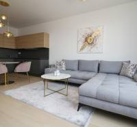 Stylish living room with a sofa and kitchen in a two-room apartment.