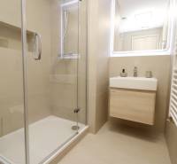 A bathroom with a glass shower enclosure and a light-colored sink in a 2-room apartment.