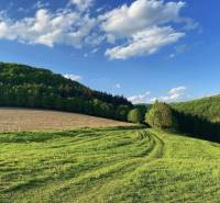 Beautiful green agricultural and forest lands in Dolné Kočkovce under a clear blue sky.
