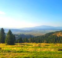 Zábiedovo: Agricultural and forest lands with trees and expansive meadows against a backdrop of hills.