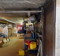 Basement space with shelves, canisters, and various storage equipment in a family house.
