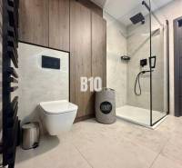 Bathroom in a 4-room apartment with a toilet, shower, and floor with wood decor.