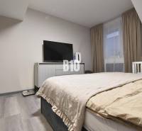 Bedroom in a 4-room apartment with a TV, bed, and wooden decor flooring.