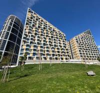 Greenery in front of modern apartment buildings on Bottova Street in Bratislava - Old Town.