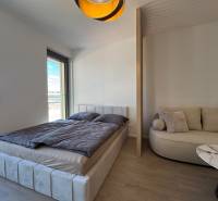 Bedroom of a one-room apartment with a bed, sofa, and wooden decor flooring.