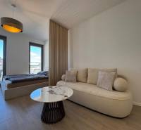 Living room with a sofa, coffee table, and bed in a studio apartment with wood-patterned flooring.