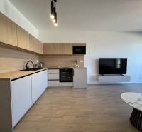 Kitchen in a studio apartment with wood-patterned flooring and a TV on the wall.