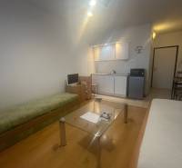 Studio apartment with a sofa, glass table, and kitchenette. Floor with wood decor.