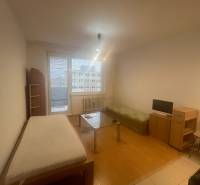 A studio apartment with a wooden floor, a bed, a sofa, and a table, simple interior.